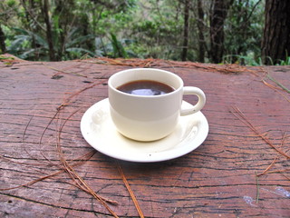 A cup of coffee is placed on the table.