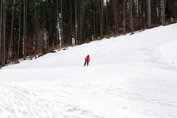 skier is skiing down the slope in the woods