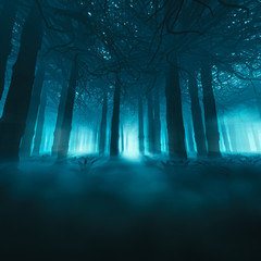 Spooky forest concept / 3D illustration of dark misty forest - 176494804