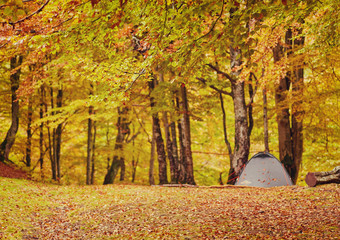 Tourist camp in the autumn forest with red and yellow foliage.