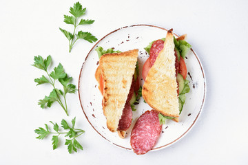 Two sandwiches, top view