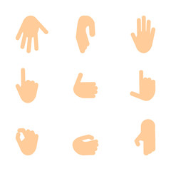 Fototapeta premium Position of flat vector hands for character constructor in infographics and animation. Cartoon illustration objects isolated on white background.