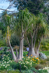 Botanical Garden Melbourne