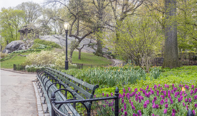 Central Park, New York City spring