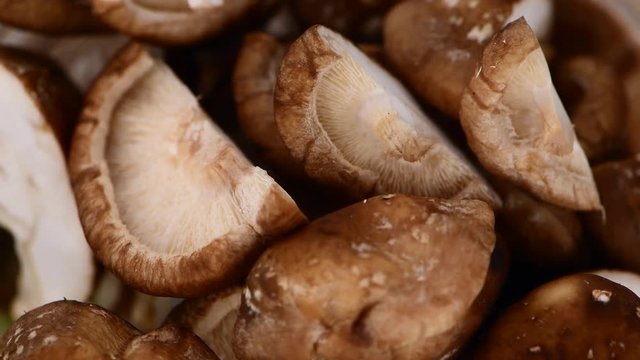 Shiitake mushrooms rotating on a wooden plate as seamless loopable 4K UHD footage