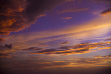 Fototapeta premium Colorful Cloud Birds fly 2