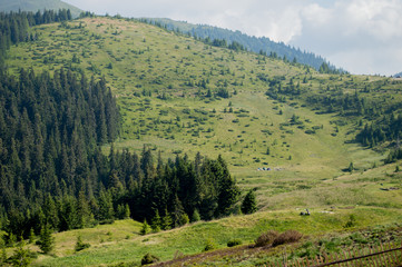 Fototapeta na wymiar Carpathian mountains