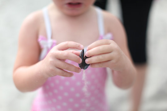 girl's hands with mussel shell