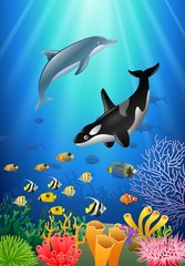 Killer whales and dolphin cartoon with underwater view and coral background. Vector Illustration.