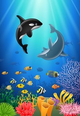 Obraz na płótnie Canvas Killer whales and dolphin cartoon with underwater view and coral background. Vector Illustration.
