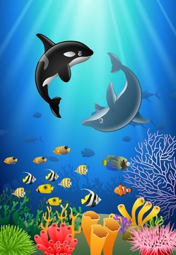 Killer whales and dolphin cartoon with underwater view and coral background. Vector Illustration.