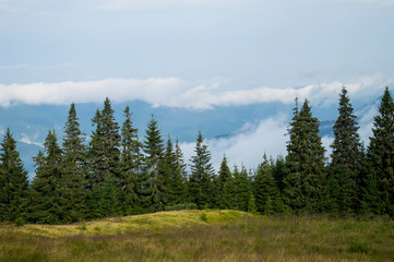 Carpathian mountains