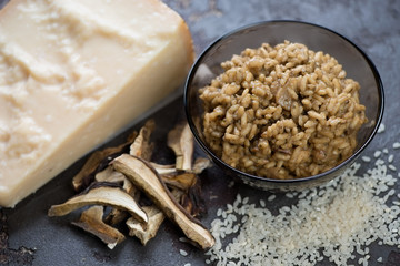 Risotto with porcini mushrooms and parmesan cheese, horizontal shot, selective focus