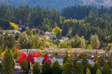 Mixed Housing North American Suburban Neighborhood in Fall