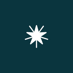 Christmas Star Vector Icon