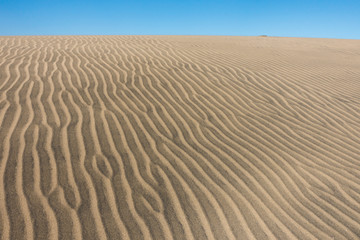 Fototapeta na wymiar Sand dune in gran canaria