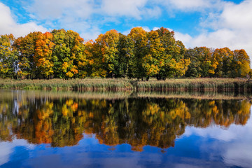 reflection of autumn forest in the lake.