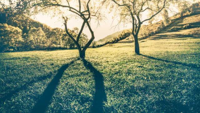 warm shadows