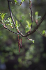 art abstract spring background or summer background