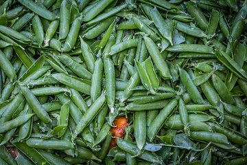Empty peas pods background
