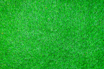 Fototapeta premium grass background