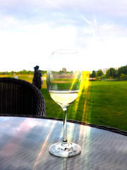 wine glass on table in green park background