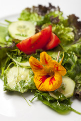 Kapuzinerkresse  auf gemischtem Salat