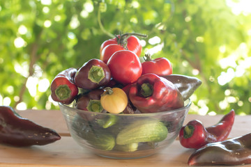Freshly picked colorful harvest bell peppers paprika in glass plate on wooden table green background harvest concept
