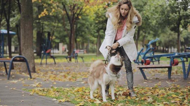 Woman walking with her dog husky in park at the autumn day, slow motion