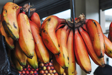 OTAVALO, ECUADOR - MARCH 18, 2016:  Tropical  Bananas at  Otavalo market, Ecuador
