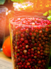 fresh and delicious cranberries - fruits and vegetables