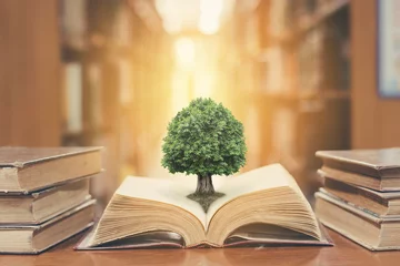 Fotobehang World philosophy day concept with tree of knowledge planting on opening old big book in library full with textbook, stack piles of text archive and blur aisle of bookshelves in school study class room © Chinnapong