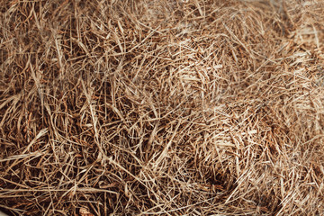 straw background