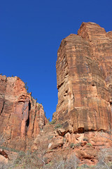 Fototapeta premium Zion National Park, Utah
