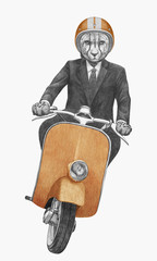 Cheetah rides scooter. Hand-drawn illustration.
