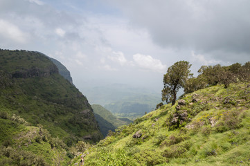 Naklejka premium Hiking in the Simien Mountains, Ethiopia