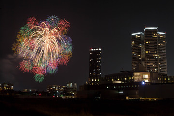 夜景と花火
