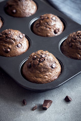 Chocolate Muffins