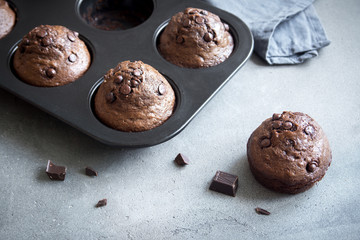 Chocolate Muffins
