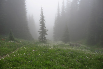 Marmot Pass