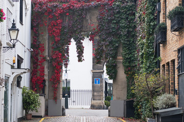 A mews archway in West London with leaves reddening in the fall. Mews typically comprise housing...