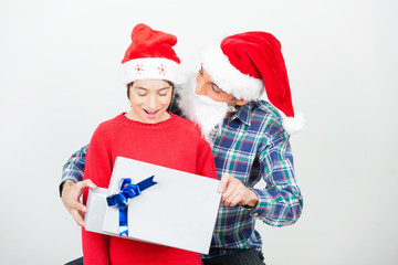 Father and son celebrating Christmas