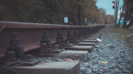 Railway rails in autumn leaves