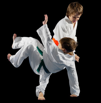 Little boys martial arts fighters