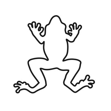 Frog lines vector illustration.  coloring for adult toad.  frog Black and white lines hop toad. frog Lace pattern