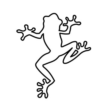 Frog lines vector illustration.  coloring for adult toad.  frog Black and white lines hop toad. frog Lace pattern