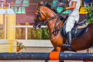 Fototapeta na wymiar Sorrel dressage horse and rider in uniform performing jump at show jumping competition. Equestrian sport background. Chestnut horse portrait during dressage competition. Selective focus. 