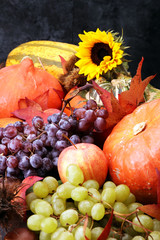 Autumn harvest seasonal fruits and vegetables on grey background.