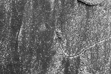 Stuccoed Wall in Black and White