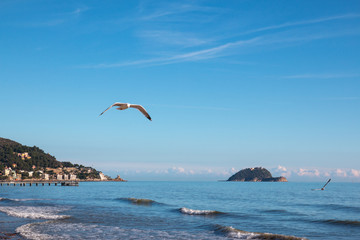 Gallinara island, italy